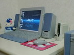 VAIO RX55
